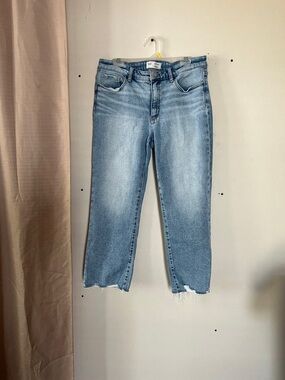 BKE Light Blue Cropped Straight Jeans with Raw Hem